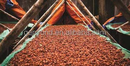 Complete Cocoa Bean Processing/cocoa Butter Processing Line