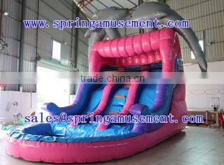 Xiamen Spring Amusement Equipment Co., Ltd. company overview - view 2