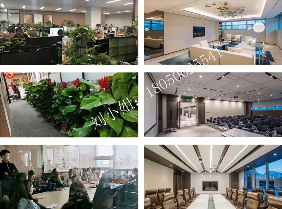 Xiamen Xiongba E-Commerce Co., Ltd. company overview - view 4