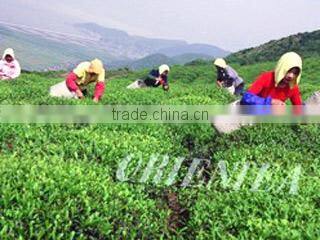 Orient Tea & Commodities Co., Ltd. company overview - view 1