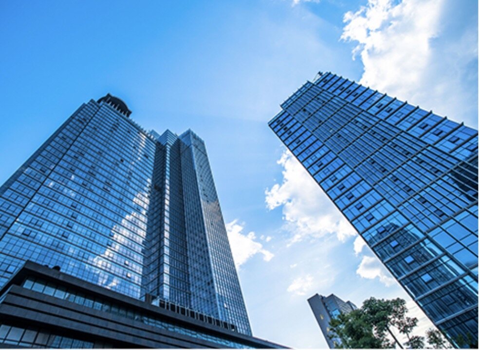 Shenzhen Optics Forest Co.,Ltd company overview - view 1