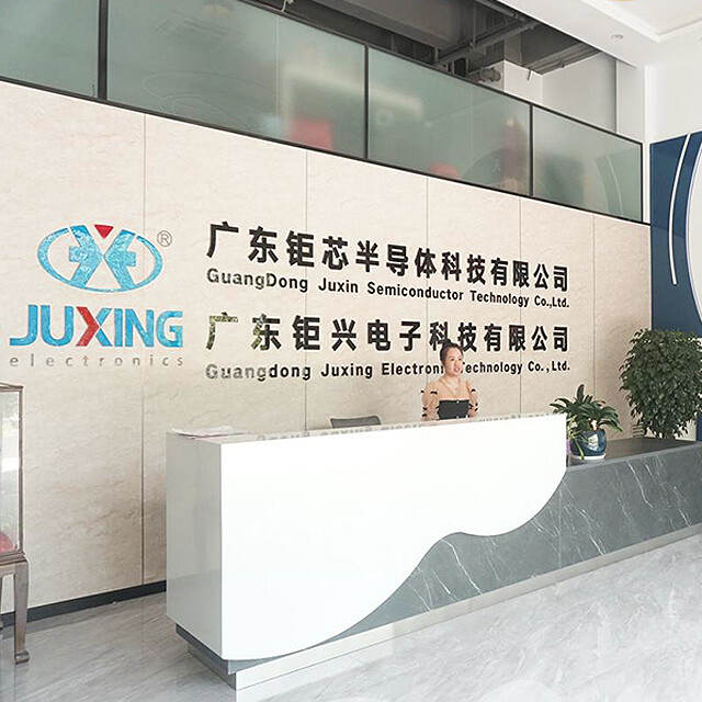 Guangdong Juxing Electronic Technology Co., Ltd company overview - view 1