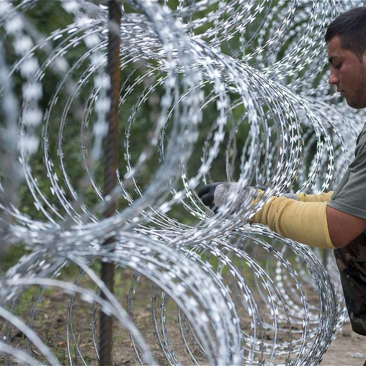 d32eb51c7f8af1074125d41ec8c2c21d