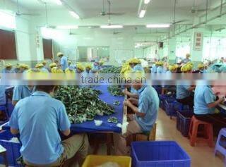 Shenzhen Zhenyan Toy Gift Co., Ltd. company overview - view 2