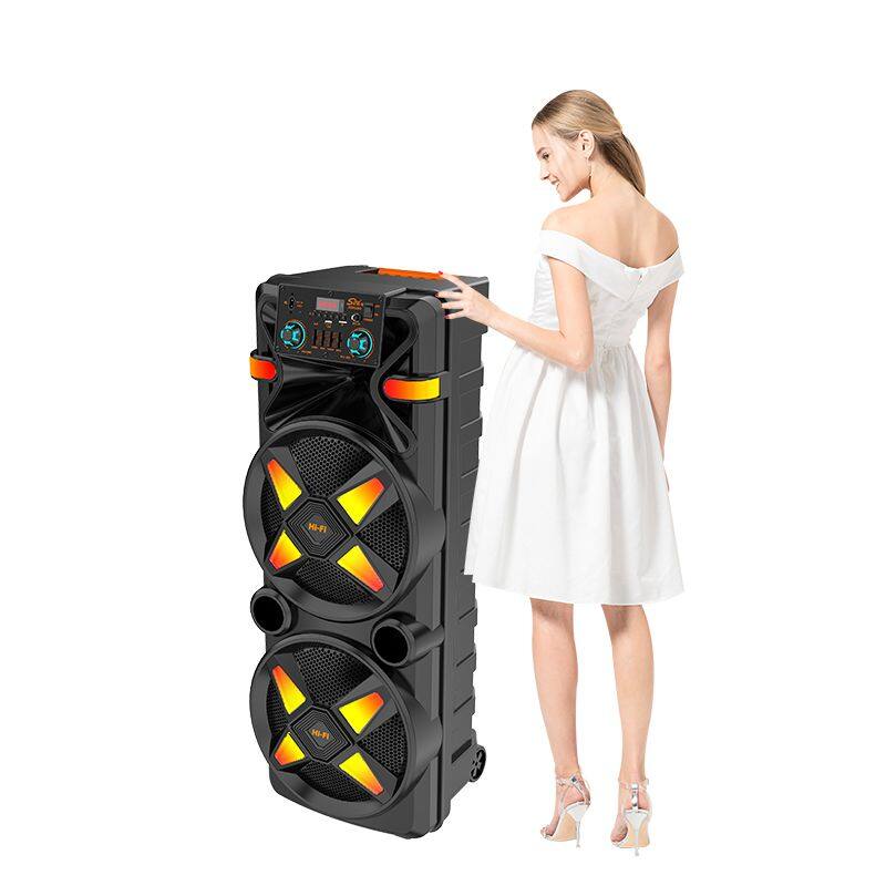 ZQS12205 super power 80W 12-inch*2 OEM cost-effective big party speaker with colorful lights