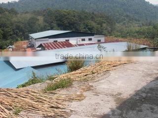 Perniagaan Titi Cane company overview - view 2