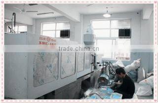 Yangzhou New Lotus Plastic & Daily Chemicals Co., Ltd. company overview - view 1
