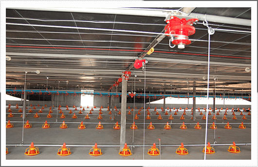 Cangzhou Phoenix Breeding Equipment Co.,ltd company overview - view 1