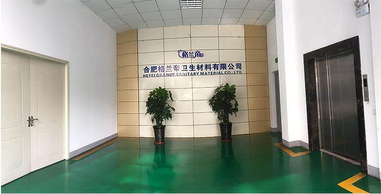 Hefei Gelandi WeiShengCaiLiaoYouXianGongSi company overview - view 2