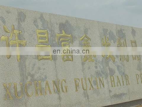 Xuchang Fuxin Hair Products Co., Ltd. company overview - view 1