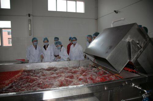 Ningxia Red Power Goji Co., Ltd. company overview - view 4