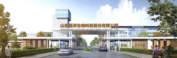 Shandong Fuyang Bio-tech.Co.,Ltd. company overview - view 1