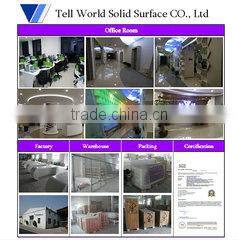 Shenzhen Tell World Solid Surface Co., Ltd. company overview - view 2