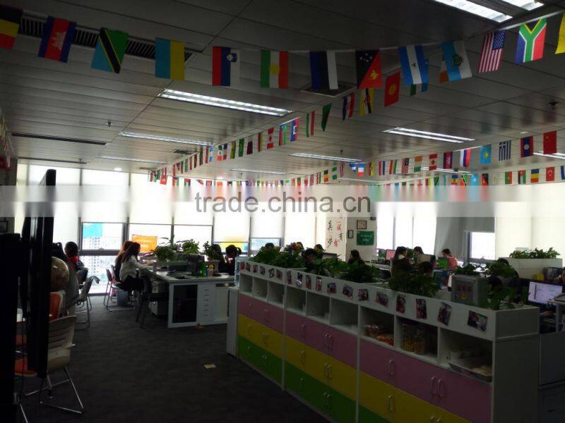 Henan Gelgoog Commercial And Trading Co., Ltd. company overview - view 3