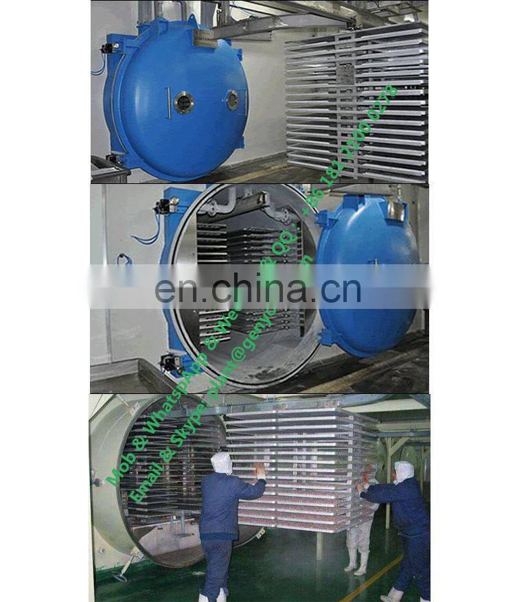 5 square meters small fruit continuous vacuum freeze dryer