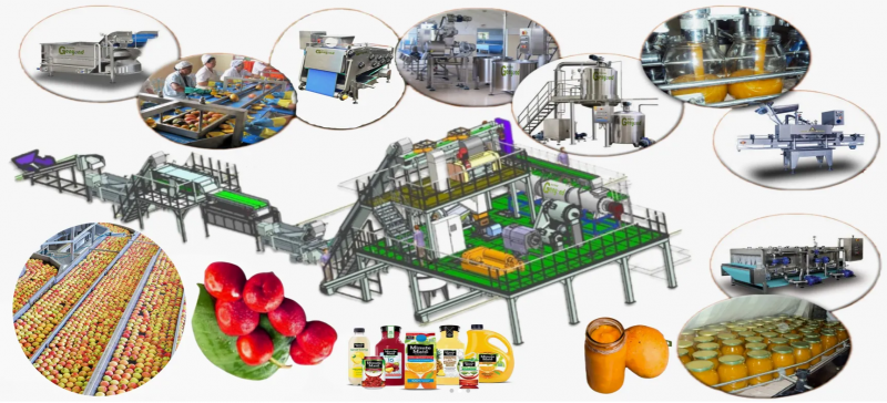 Factory Genyond Complete Prickly Pear Fruit Juice Paste Production Line / Prickly Pear Jam Processing Plant Making Machine
