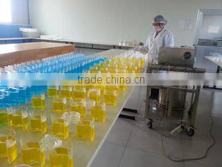 Yantai Oisee Toys Co., Ltd. company overview - view 3