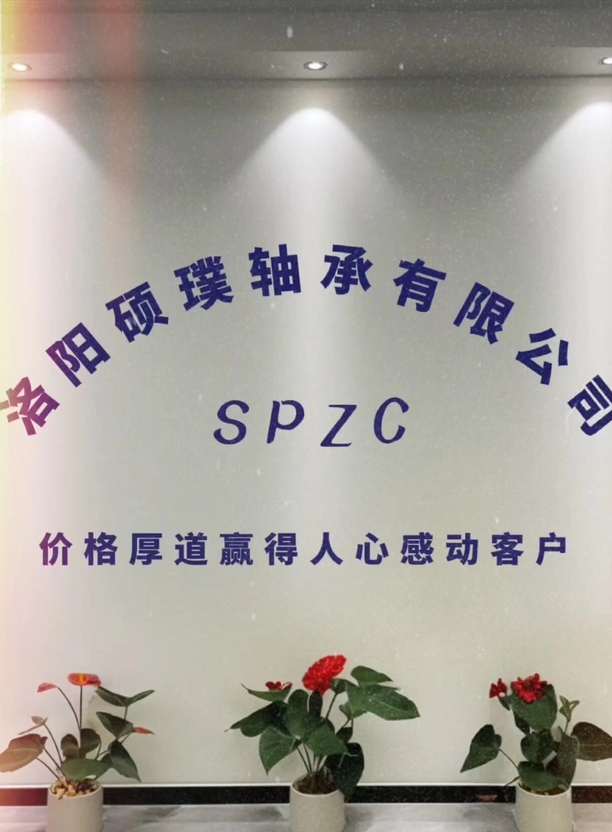 Luoyang Shuopu Bearing Co., Ltd. company overview - view 2