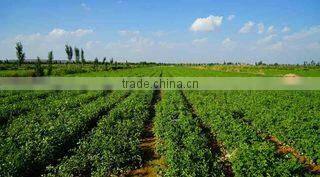 Taiyuan Mapon Humic Acid Development Co., Ltd. company overview - view 2