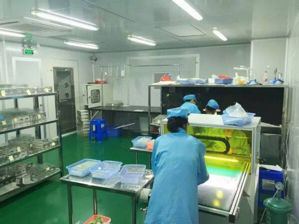 Shenzhen Western Electronic Co., Ltd company overview - view 4