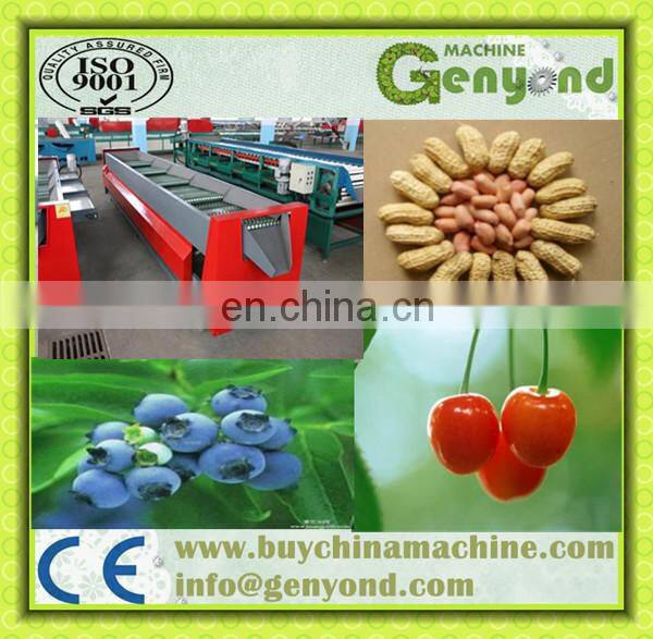 Date palm sorting and cleaning machine/sorting system