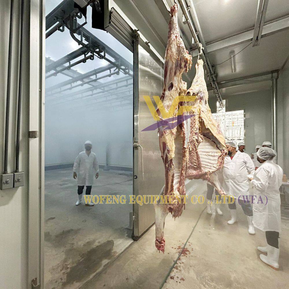 WFA cattle slaughter line (5).jpg