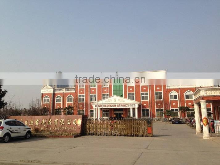 Xuchang Longshengyuan Hair Products Co., Ltd. company overview - view 2