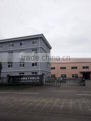 Ningbo Leading Electronic Co., Ltd. company overview - view 1
