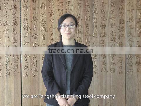 Tangshan Tianming Steel Co., Ltd. company overview - view 1