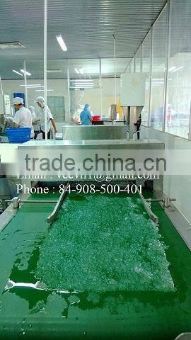 Vietcoco International Company Limited company overview - view 1