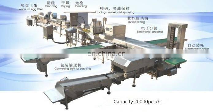 full automatic egg cleaning and sorting packing line production line processing line