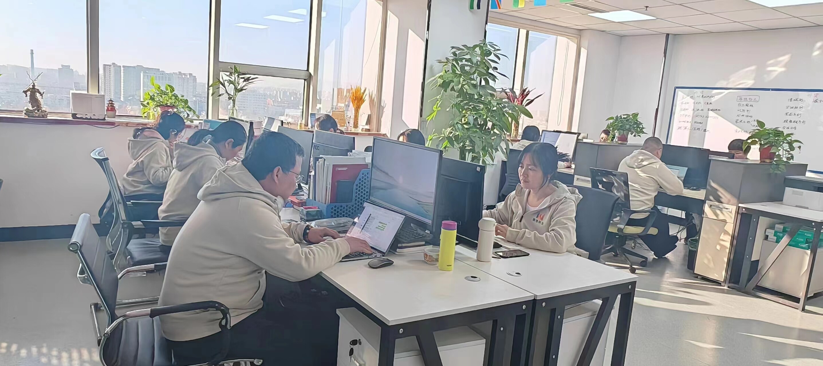 Hebei Weiran Building Materials Technology Co.,Ltd company overview - view 2