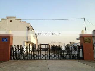 Nanjing Xiongfeng Special Saw Blade Factory company overview - view 1