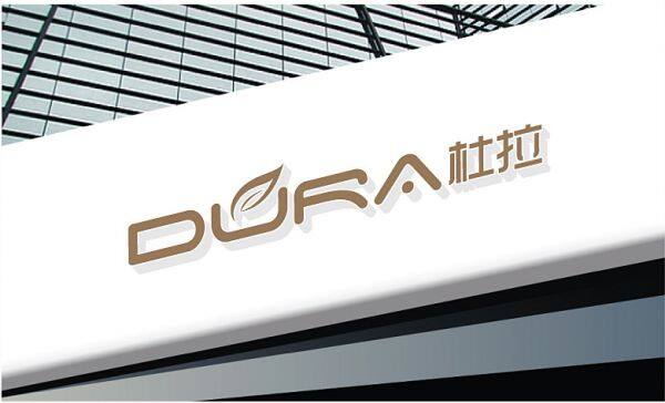 Shanghai Dura Industrial Co., Ltd. company overview - view 1