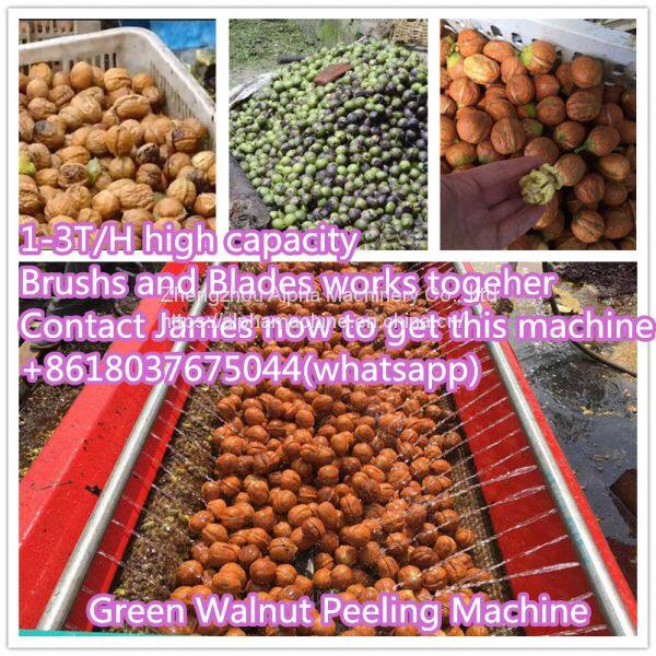 green walnut peeling washing machine