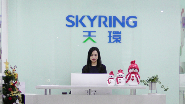 Skyring Smart Technologies (Shenzhen) Co., Ltd. company overview - view 1
