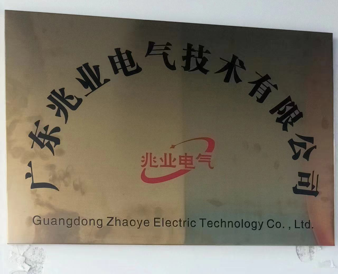 Guangdong Zhaoye Electric Technology Co., Ltd.