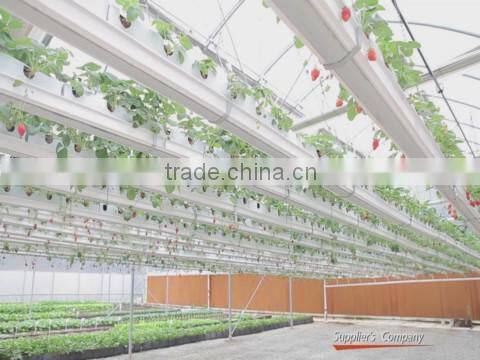 Trinog-xs (Xiamen) Greenhouse Tech Co., Ltd. company overview - view 1