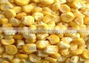 higher fruit and vegetable freeze dryer equipment