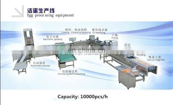 Automatic hen egg cleaning and checking line / egg processing machine