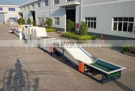 vegetable washing machine