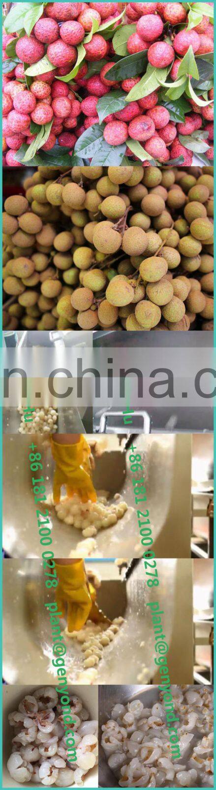 GYC longan nucleus stone core pit seed remover removing machine