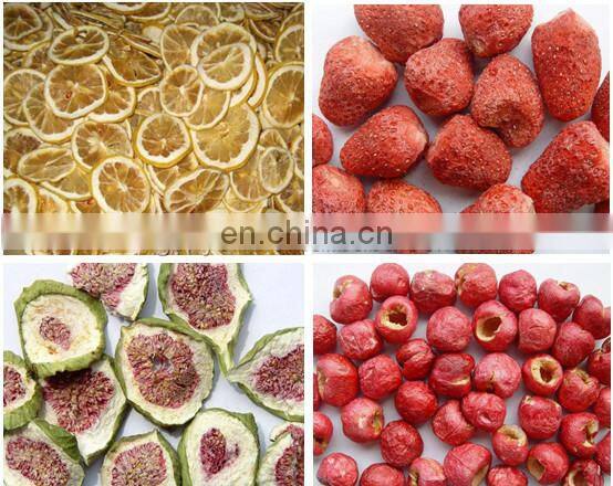 machine to dry fruits/solar fruit drying machine/industrial fruit drying machine