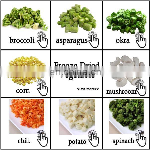 50KG Small vacuum freeze drying machine