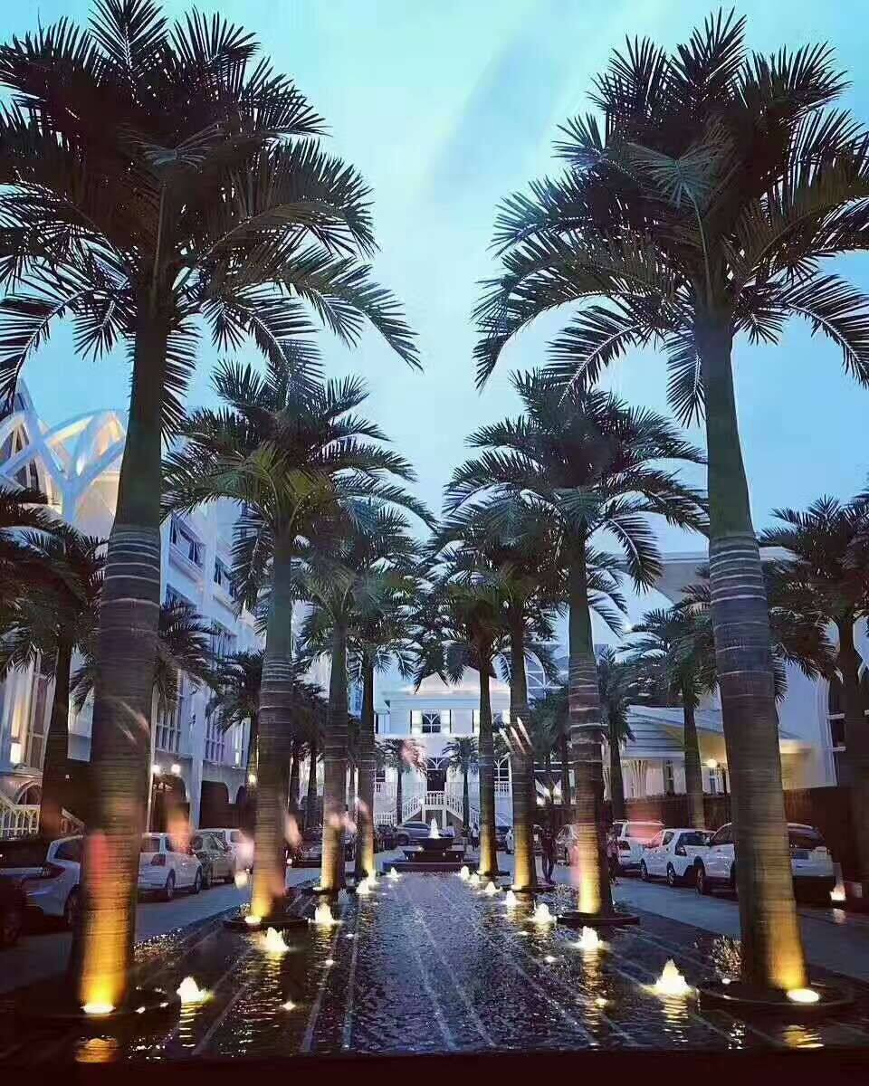 Coconut Palm Tree (2).jpg