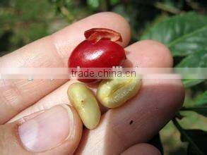 green coffee bean peeler/coffe peeler/coff peeling machine for sale