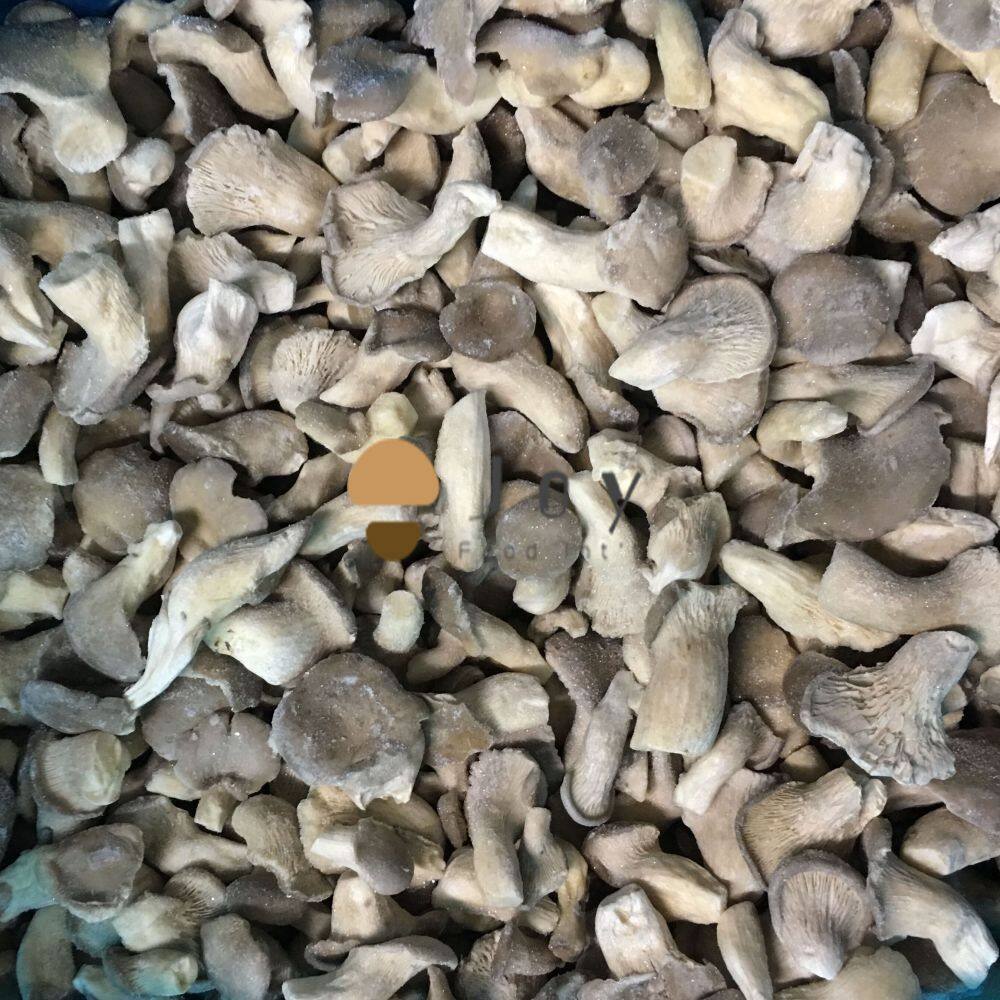 Iqf baby oyster mushroom pleurotus ostreatus