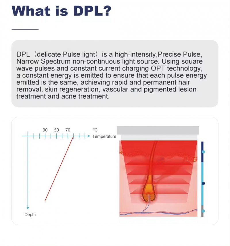 Japan DPL IPL Portable Beauty Machine for Hair Removal Skin Rejuvenation Door to Door Service