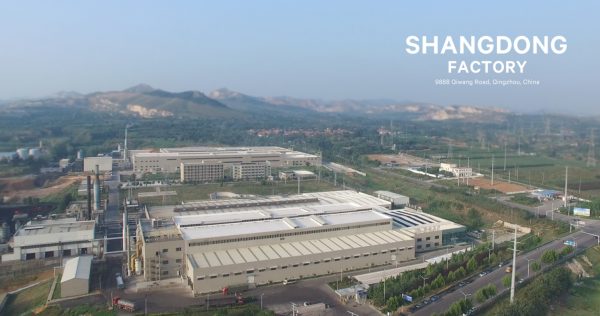 Shandong Intco Medical Company company overview - view 1