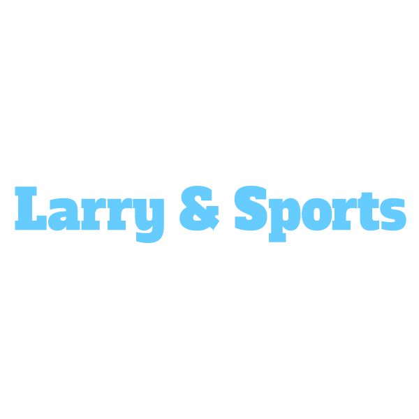 Wuhan LarrySports Technology Co.,Ltd